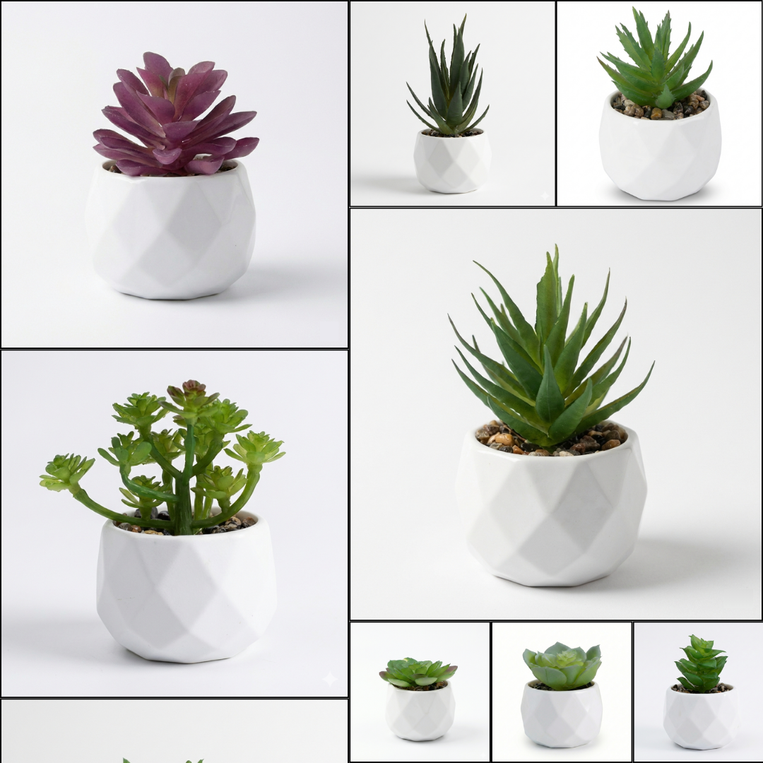 Plante en pot structuré