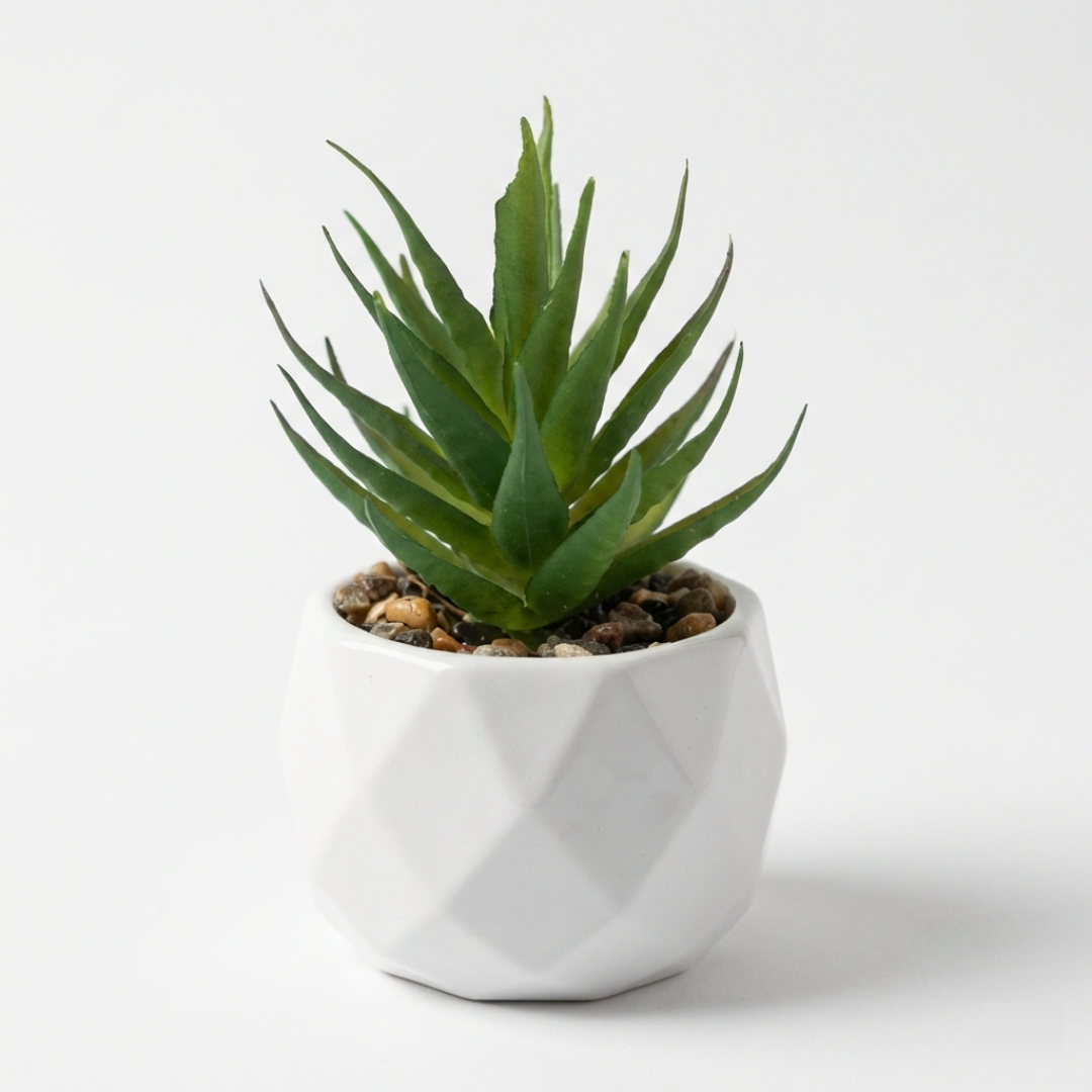 Plante en pot structuré