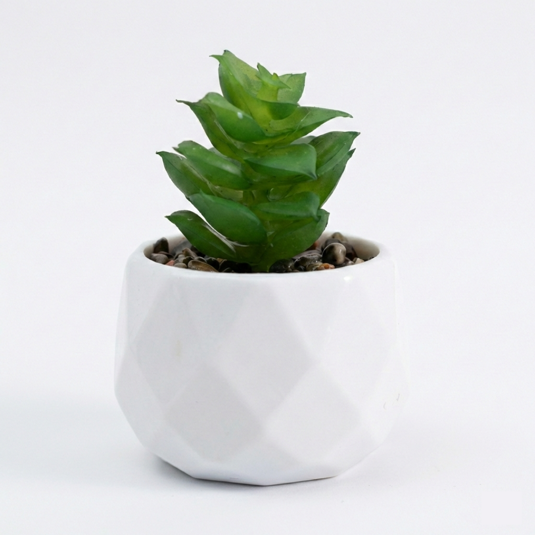 Plante en pot structuré