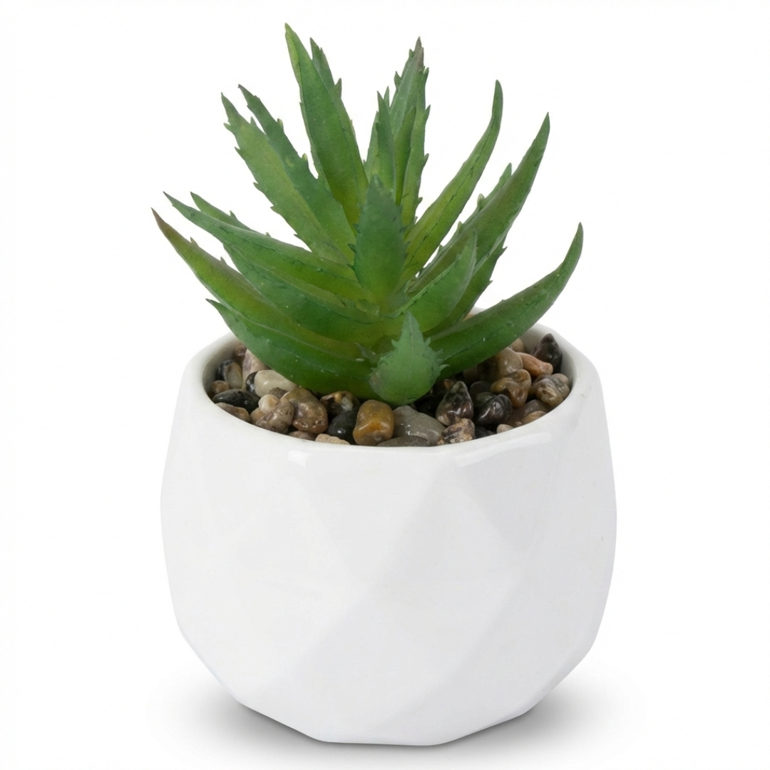 Plante en pot structuré