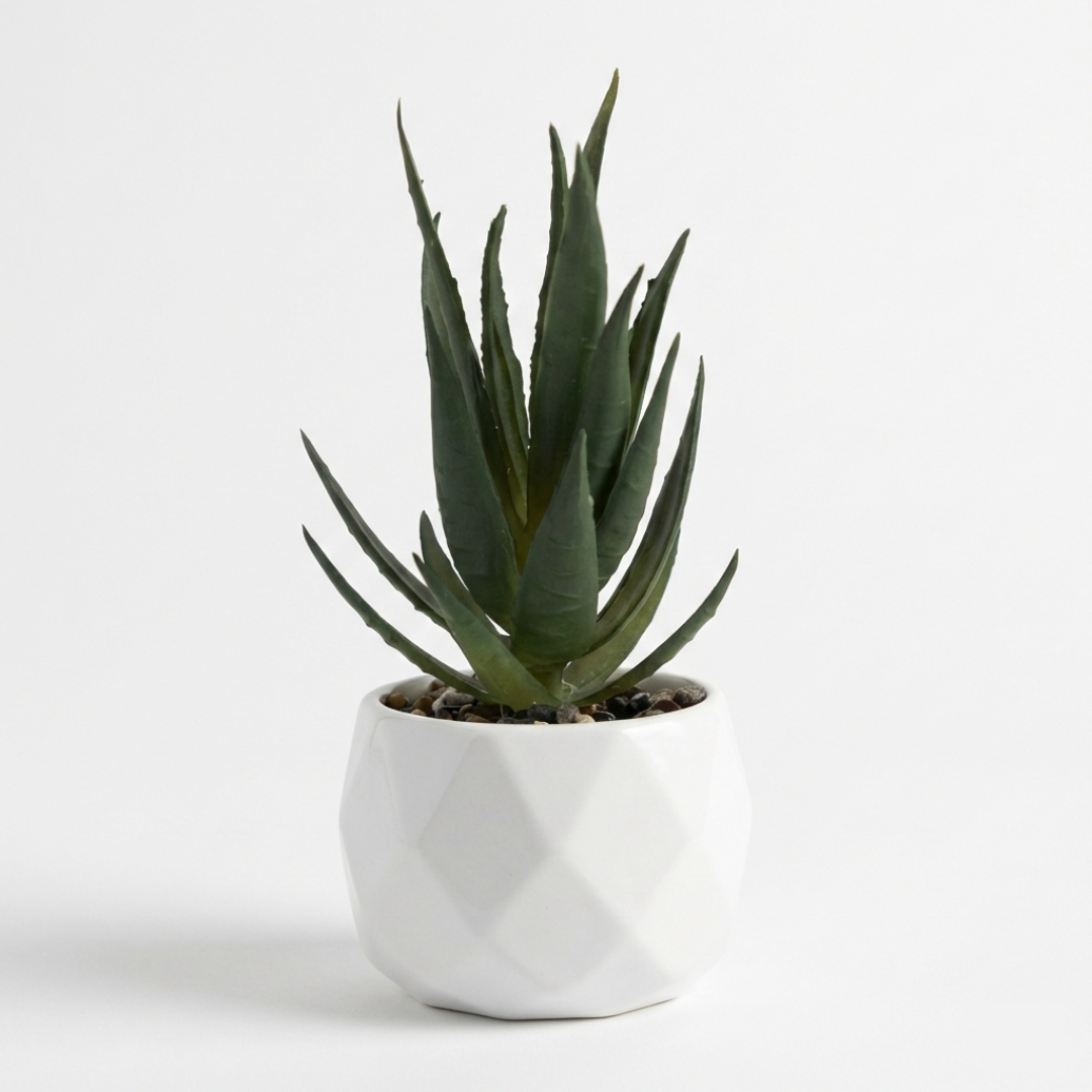 Plante en pot structuré