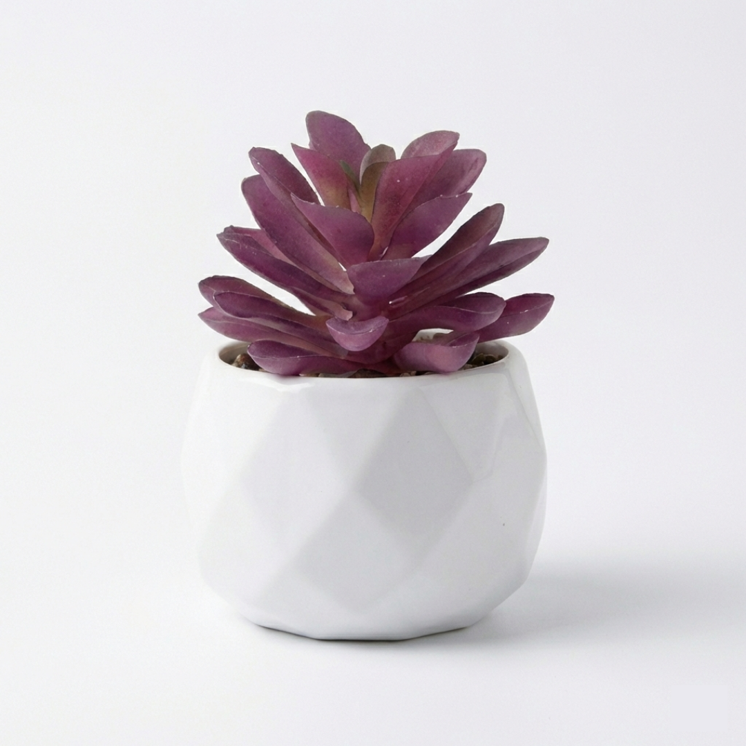 Plante en pot structuré